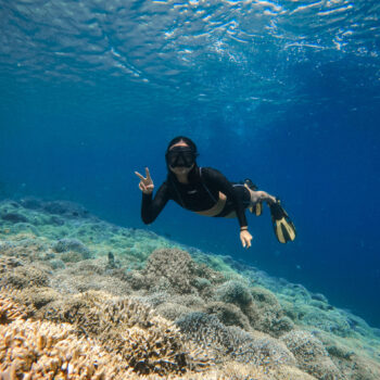 Open Trip Menjangan Tabuhan